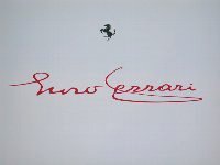 Ferrari Enzoץ쥹å