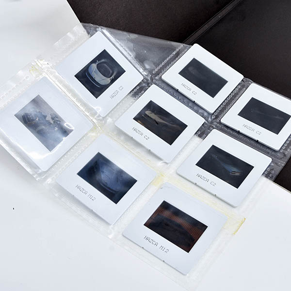 ITALDESIGN 1991東京モーターショープレスキット