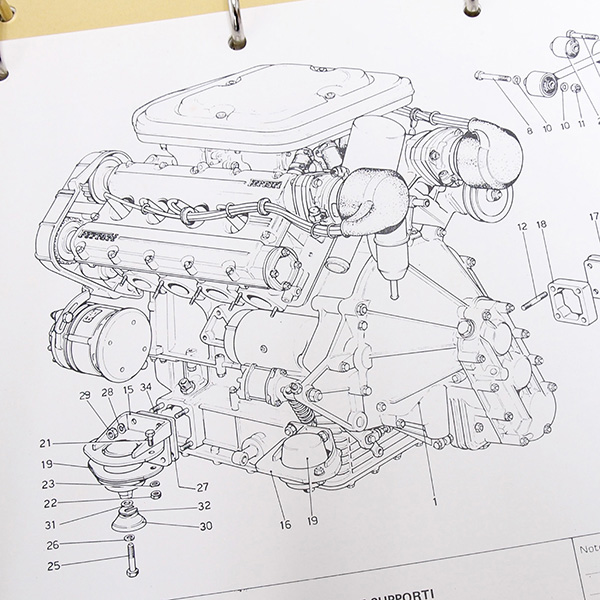 Ferrari308GTB/GTSѡĥޥ˥奢 (ܻ1978-1979)