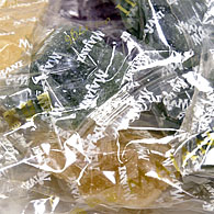 FIAT 500?�ߤ����ʤ̤������ (��å�)