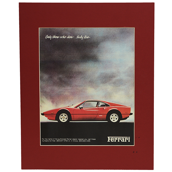 Ferrari 308 -Only Those Who Dare... Truly Live- ݥ(ץȻž夲)