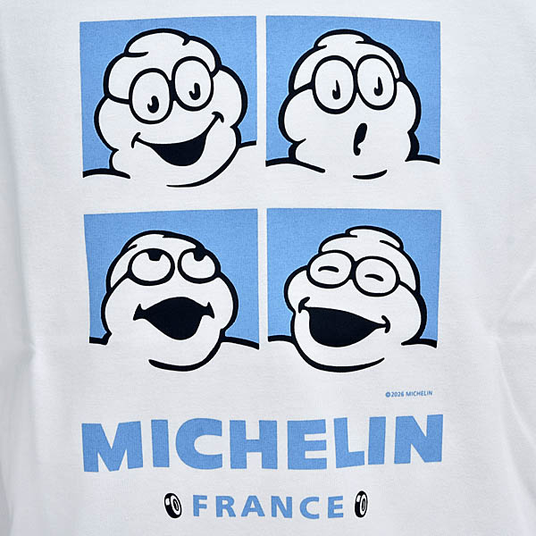MICHELIN���ե������T�����-Face-(�ۥ磻��)