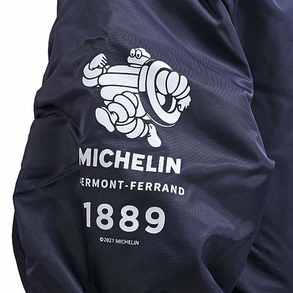 MICHELINեե饤ȥ㥱å2022(ͥӡ)