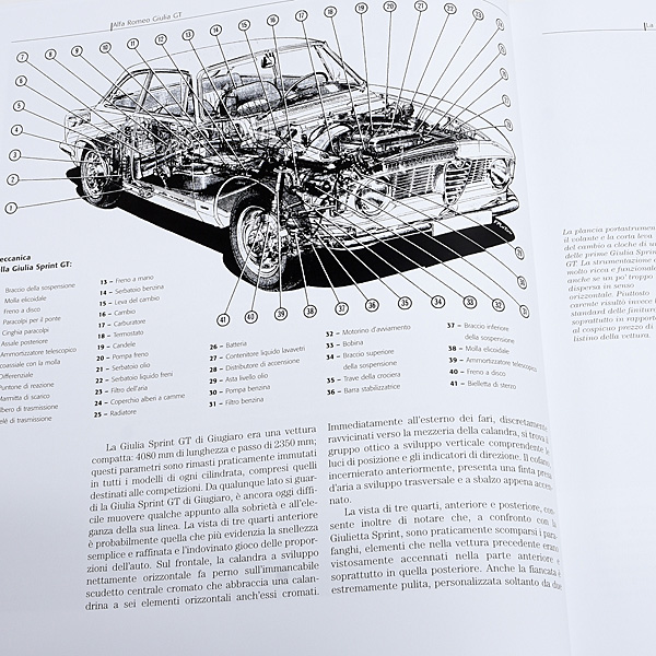 ALFA ROMEO GIULIA GT N.E. (LE VETTURE CHE HANNO FATTO LA STORIA)