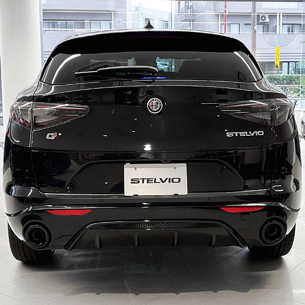  Alfa Romeo Stelvio Rear Bumper Protector(Carbon Look)