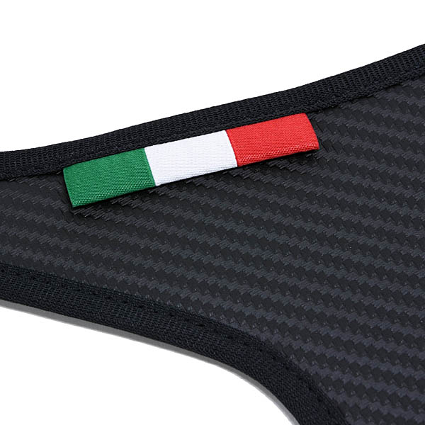 ABARTH/FIAT 500e Door Kick guard