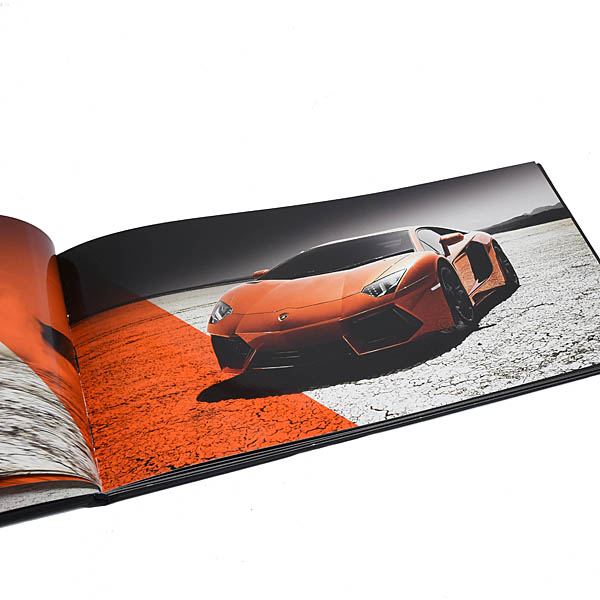 Lamborghini Aventador  LP700-4֥å