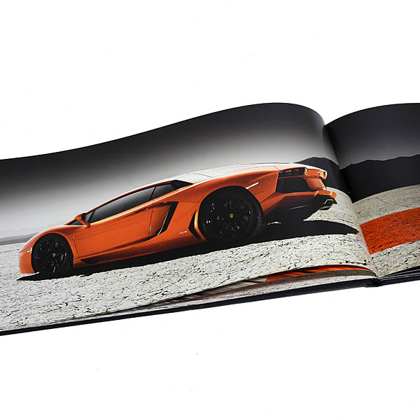 Lamborghini Aventador  LP700-4֥å