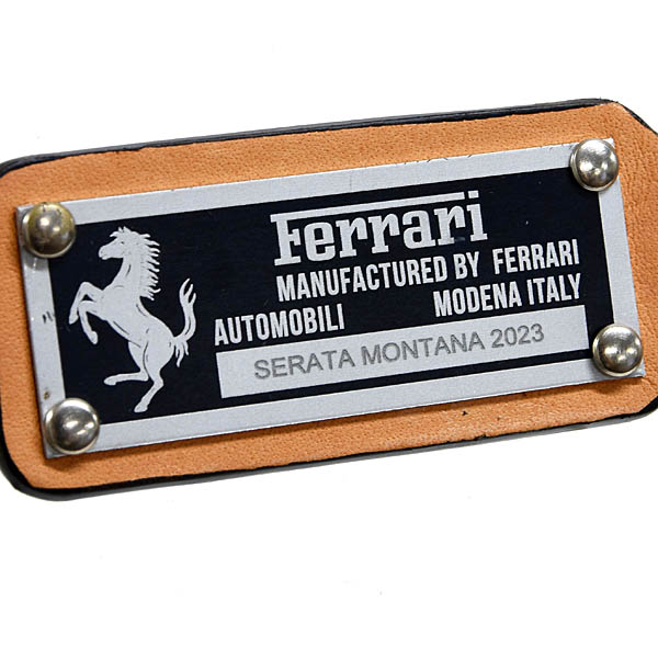 FerrariNIKI HASLER AG 