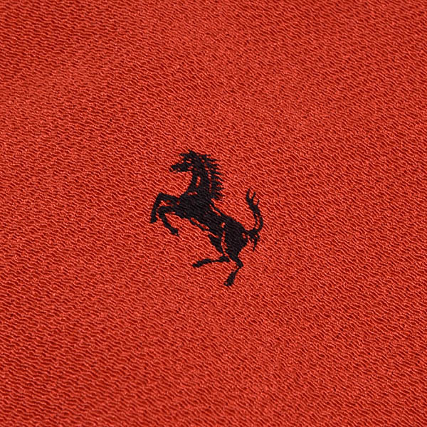 Ferrari������Ϥ��