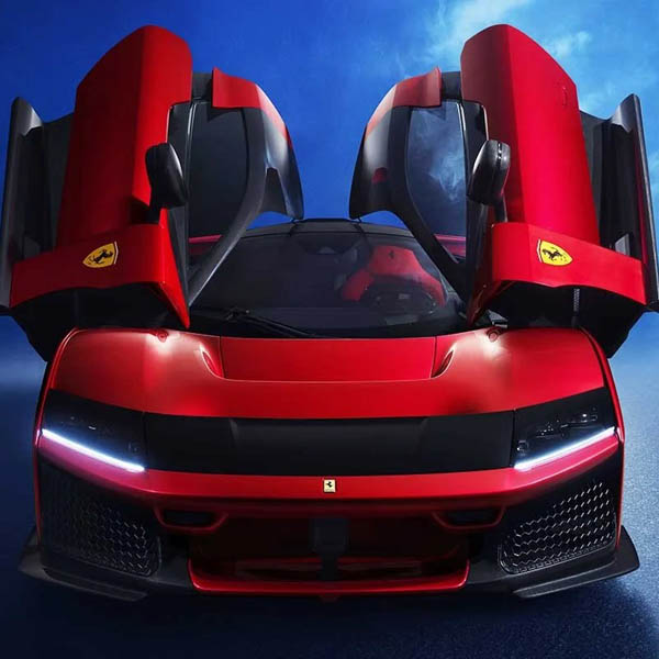 Ferrari����F80�����˥å���󥭡�(��������)