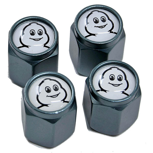 MICHELIN���ե�����륨���Х�֥���å�