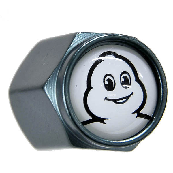 MICHELIN���ե�����륨���Х�֥���å�