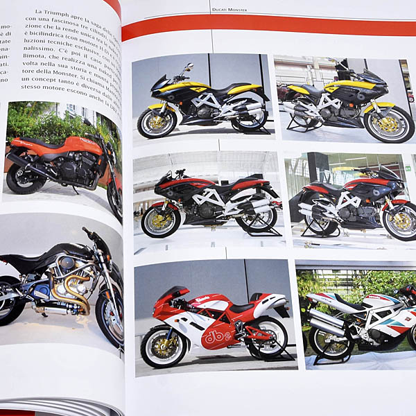 DUCATI MONSTER����ǥ� ����